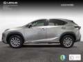 Lexus NX 300 300h Business Navigation 2WD Zilver - thumbnail 6