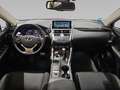 Lexus NX 300 300h Business Navigation 2WD Zilver - thumbnail 13