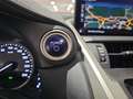 Lexus NX 300 300h Business Navigation 2WD Zilver - thumbnail 19