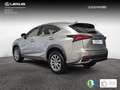 Lexus NX 300 300h Business Navigation 2WD Zilver - thumbnail 5