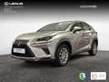 Lexus NX 300 300h Business Navigation 2WD Zilver - thumbnail 4