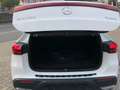 Mercedes-Benz EQA 300 4Matic,Camera,Winter Pack,Carplay,Directiewagen Blanc - thumbnail 6