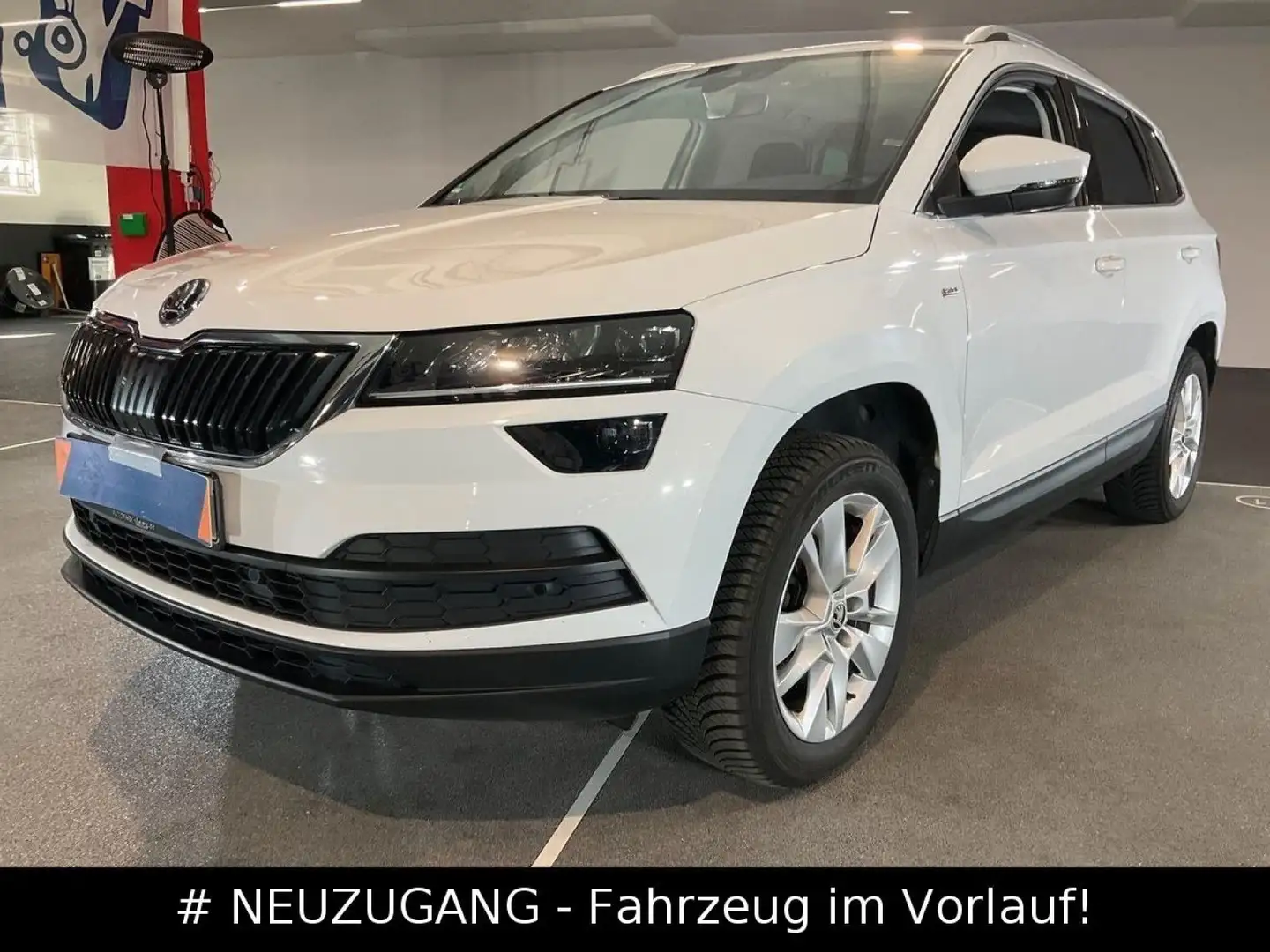 Skoda Karoq 1.5 TSI Drive 125 DSG*NAVI*RFK*ACC*2HD Bianco - 1