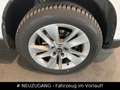 Skoda Karoq 1.5 TSI Drive 125 DSG*NAVI*RFK*ACC*2HD Bianco - thumbnail 6
