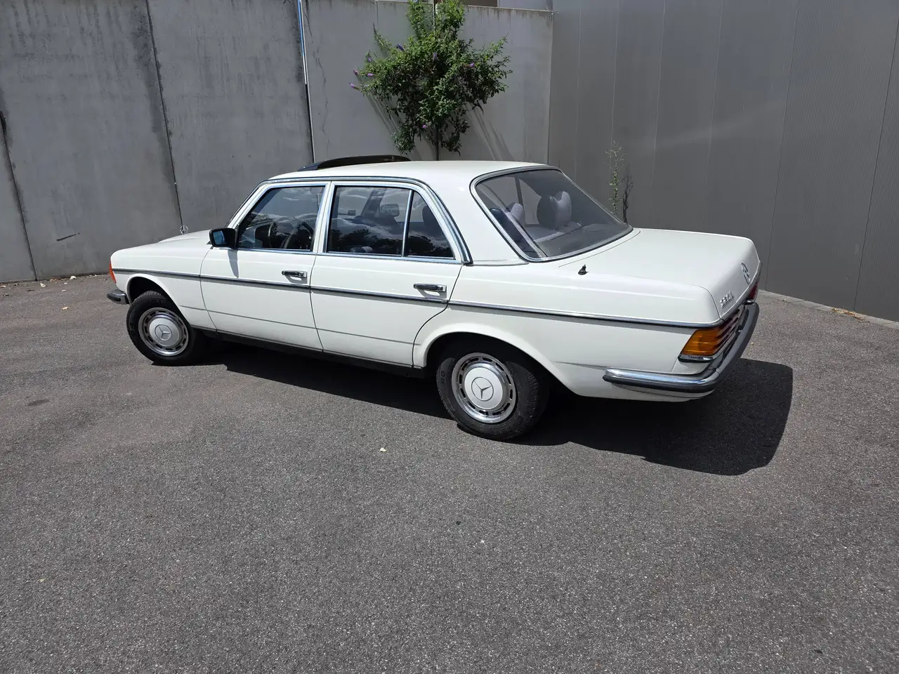 Mercedes-Benz 280 W123 280E, foto 8