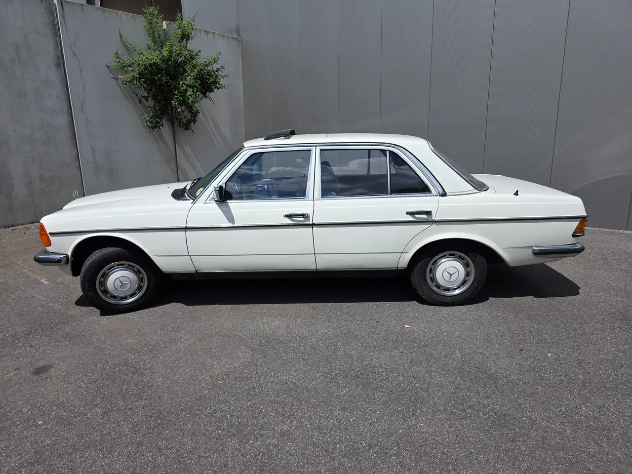 Mercedes-Benz 280 W123 280E, foto 7