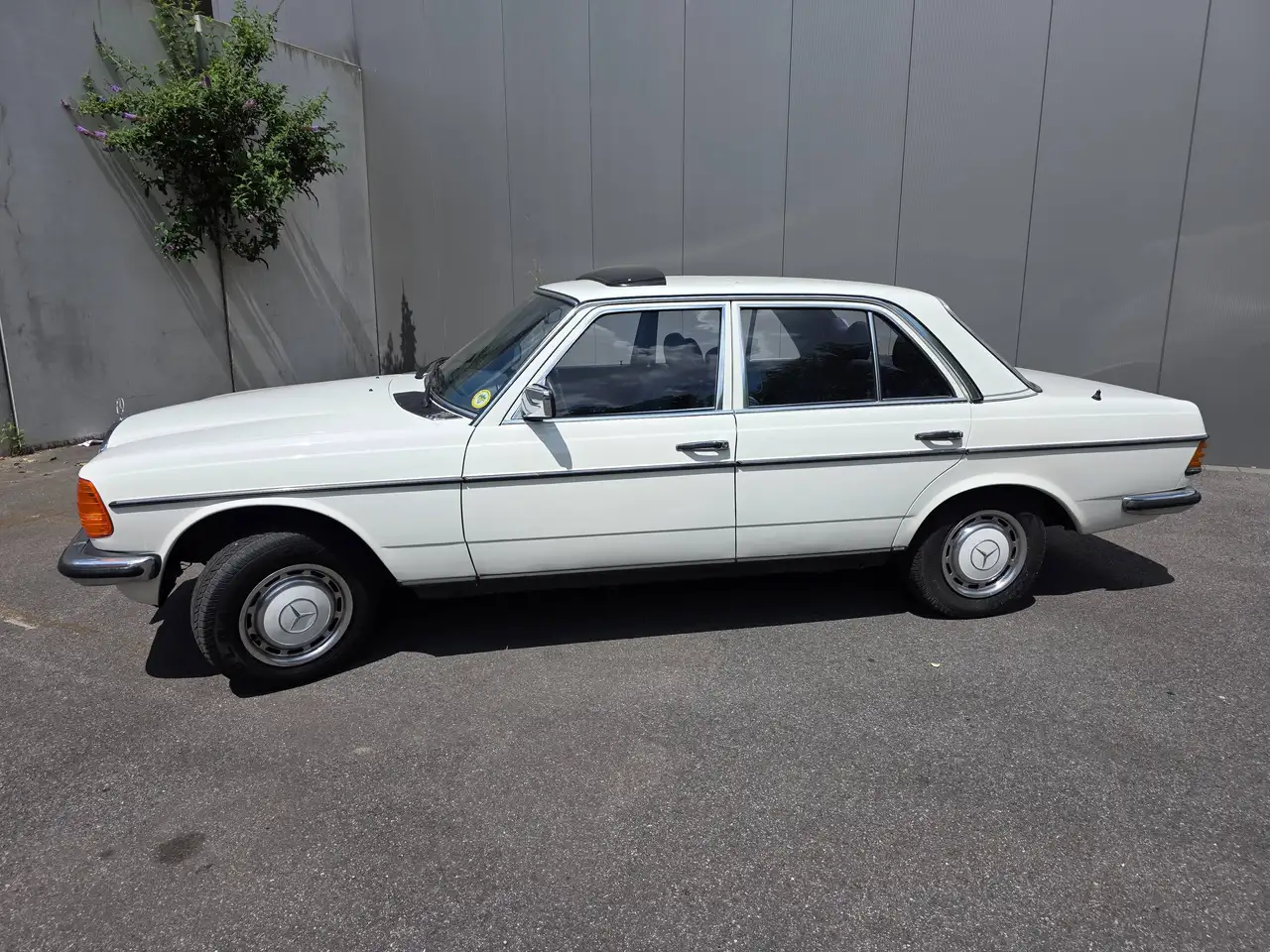 Mercedes-Benz 280 W123 280E, foto 6