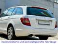 Mercedes-Benz C 180 CDI Kombi / Navi / Top-Zustand Weiß - thumbnail 12