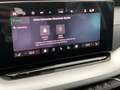 Skoda Octavia Essence TSI mHEV DSG Blau - thumbnail 13