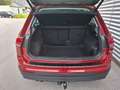 Volkswagen Tiguan Comfortline TDI SCR 4MOTION Rot - thumbnail 9