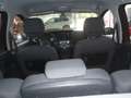 Renault Scenic Scénic Energy dCi 110 Success Success Rot - thumbnail 13