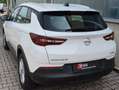 Opel Grandland X 1.2 Klima/Temp./Rückfahrkamera/Klima/TÜV Weiß - thumbnail 3