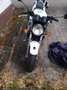 Honda CB 1 Normal Weiß - thumbnail 6