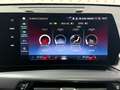BMW X1 SDrive18i/M-SPORT/PANO/HARMAN KARDON/CAMERA/MEMORY Blanco - thumbnail 10