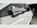 SEAT Arona 1.0 TSI S&S Style XM 115 Blanc - thumbnail 19