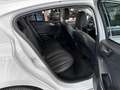 Ford Focus Lim. Vignale 2.0 #AUTOMATIK #LEDER #B&O Wit - thumbnail 14