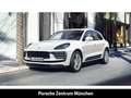 Porsche Macan Rückfahrkamera Panoramadach Sitzheizung Weiß - thumbnail 1