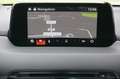 Mazda CX-5 CD184 AWD Revolution Aut. / 360Grad / BOSE / SH... Rot - thumbnail 16