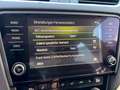 Skoda Octavia 4x4 Style Limited TDI DSG Schwarz - thumbnail 19