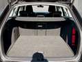Skoda Octavia 4x4 Style Limited TDI DSG Schwarz - thumbnail 12