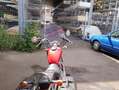 Suzuki 650 Savage Tüv fällig Bastler Rot - thumbnail 7