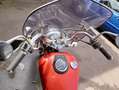 Suzuki 650 Savage Tüv fällig Bastler Rot - thumbnail 8