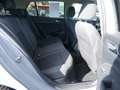 Volkswagen Golf VIII 1.0 TSI United PDC SHZ NAVI ACC LED Gris - thumbnail 4