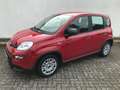 Fiat Panda MY24 1.0 GSE Hybrid Klimaanlage Rot - thumbnail 2