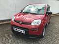 Fiat Panda MY24 1.0 GSE Hybrid Klimaanlage Rot - thumbnail 4