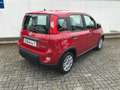 Fiat Panda MY24 1.0 GSE Hybrid Klimaanlage Rot - thumbnail 5