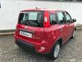 Fiat Panda MY24 1.0 GSE Hybrid Klimaanlage Rot - thumbnail 6