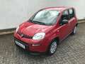 Fiat Panda MY24 1.0 GSE Hybrid Klimaanlage Rot - thumbnail 3