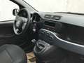 Fiat Panda MY24 1.0 GSE Hybrid Klimaanlage Rot - thumbnail 10