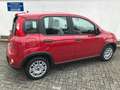 Fiat Panda MY24 1.0 GSE Hybrid Klimaanlage Rot - thumbnail 7