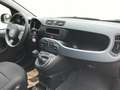 Fiat Panda MY24 1.0 GSE Hybrid Klimaanlage Rot - thumbnail 9