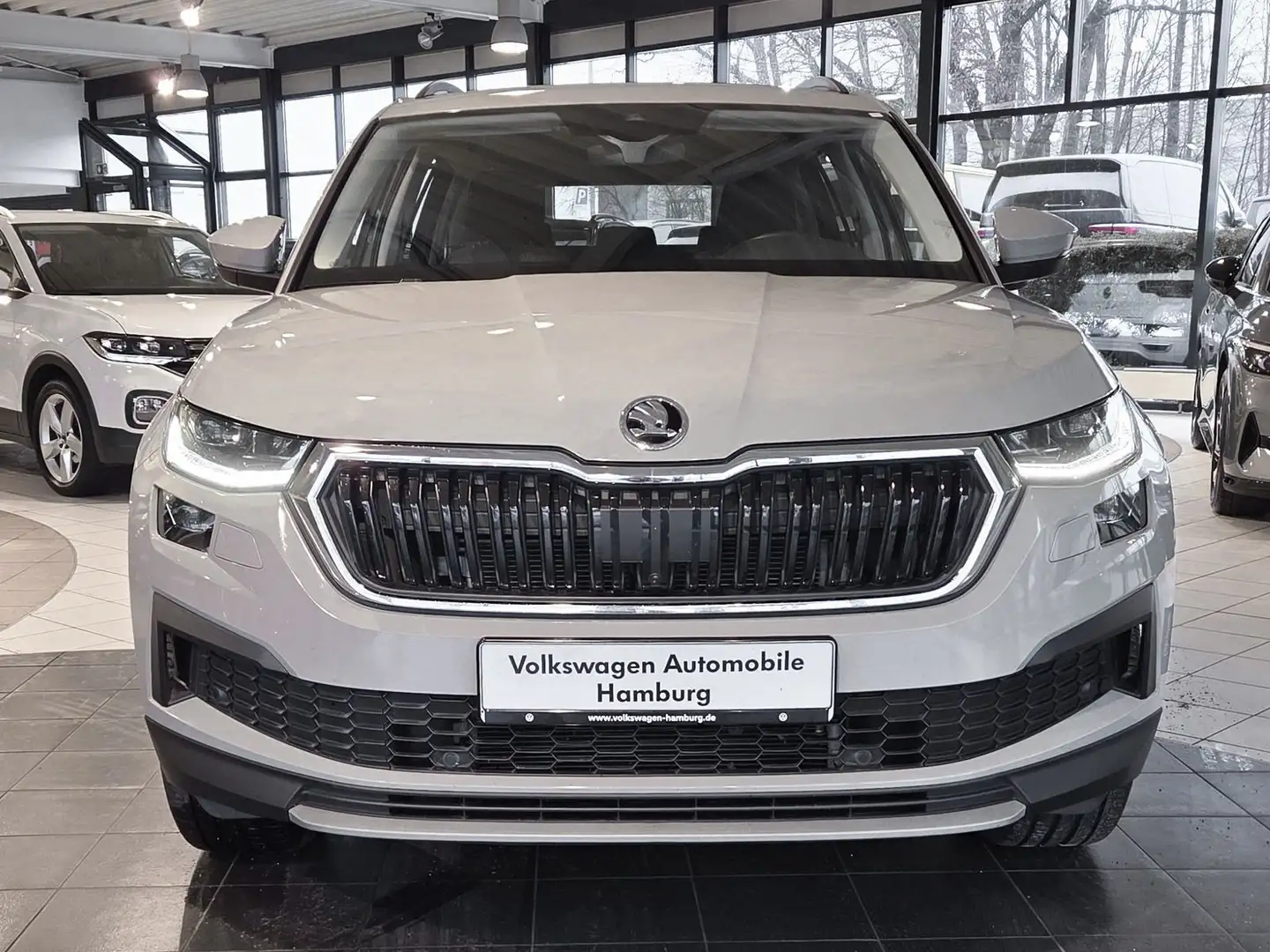 Skoda Kodiaq 2.0 TSI DSG Clever 4x4 Kamera LED Grau - 2