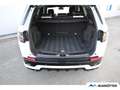 Land Rover Discovery Sport D180 R-Dynamic SE Black Pack Weiß - thumbnail 6