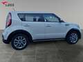 Kia Soul 1.6 CRDi Dream Team Klima+Kamera+Auto Blanco - thumbnail 7