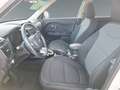 Kia Soul 1.6 CRDi Dream Team Klima+Kamera+Auto Blanco - thumbnail 10