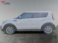 Kia Soul 1.6 CRDi Dream Team Klima+Kamera+Auto Blanco - thumbnail 3