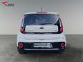 Kia Soul 1.6 CRDi Dream Team Klima+Kamera+Auto Blanco - thumbnail 5