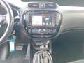 Kia Soul 1.6 CRDi Dream Team Klima+Kamera+Auto Blanco - thumbnail 12