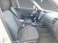 Kia Soul 1.6 CRDi Dream Team Klima+Kamera+Auto Blanco - thumbnail 16