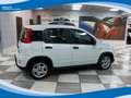 Fiat Panda Hybrid 1.0 FireFly 70cv EU6 Weiß - thumbnail 2