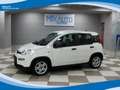 Fiat Panda Hybrid 1.0 FireFly 70cv EU6 Weiß - thumbnail 1