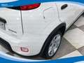 Fiat Panda Hybrid 1.0 FireFly 70cv EU6 Weiß - thumbnail 13