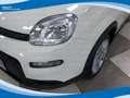 Fiat Panda Hybrid 1.0 FireFly 70cv EU6 Weiß - thumbnail 12