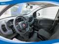 Fiat Panda Hybrid 1.0 FireFly 70cv EU6 Weiß - thumbnail 3