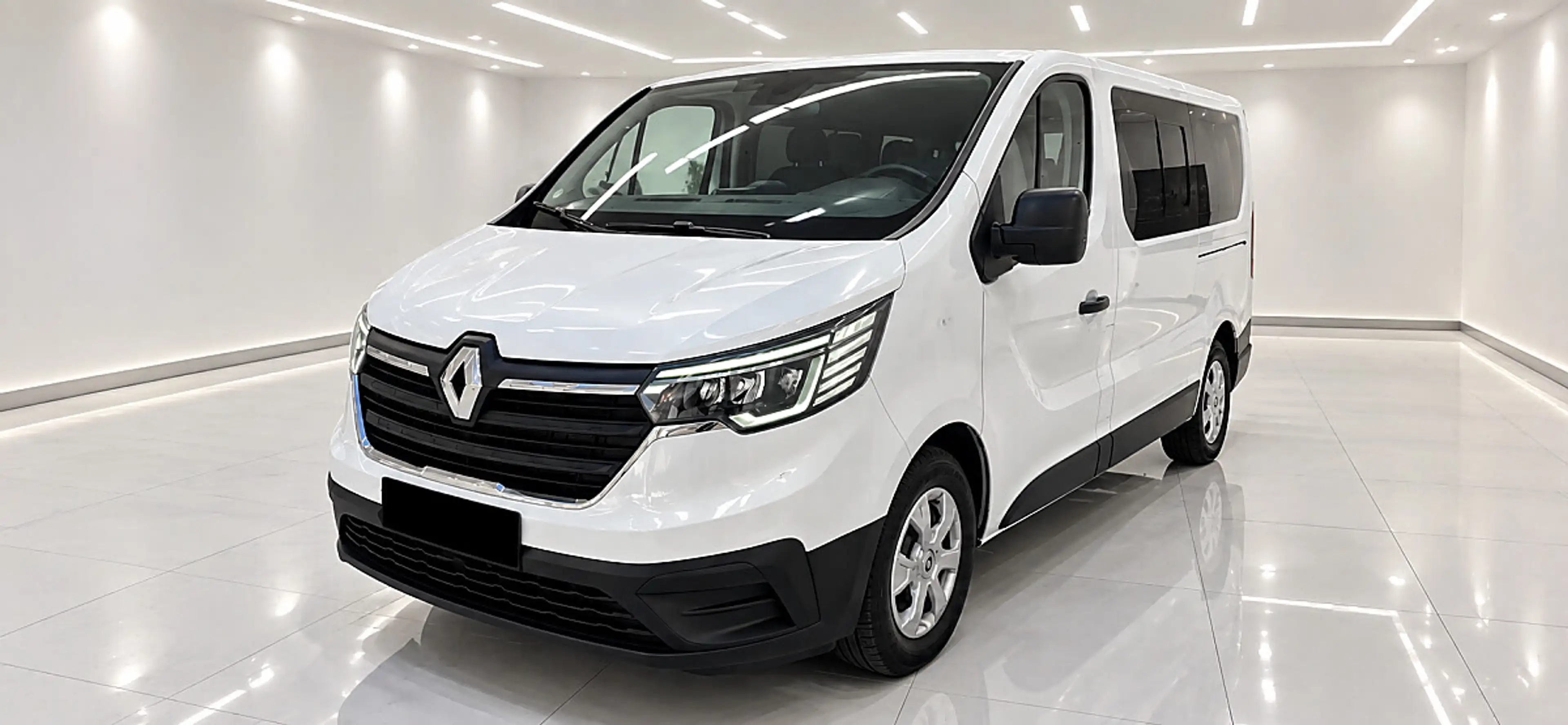 Renault Trafic Expression Blue dCi 110