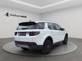Land Rover Discovery Sport D150 4WD Aut. LED CAM NAVI PDC 360GRAD KEYLESS ... Weiß - thumbnail 6